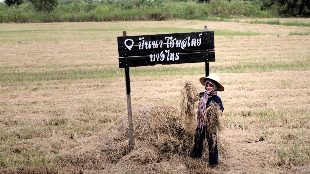 ท่องเที่ยววิถีชาวนาต้อง "ปันนาโฮมสเตย์" ธรรมชาติสุดชิลวิวทุ่งนา