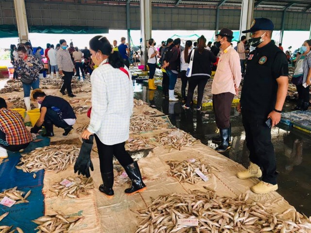 เข้มชายแดนระนอง-เมียนมากระทบเรือเทียบฝั่งสัตว์น้ำขาดตลาด
