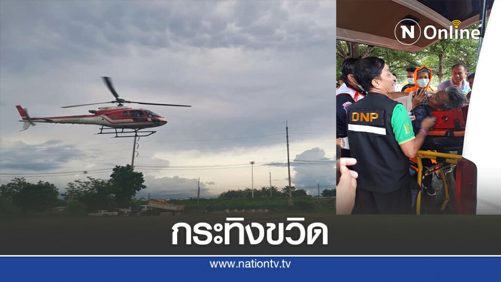 กระทิงเขาใหญ่ขวิดเจ้าหน้าที่ขาหัก