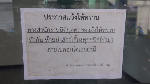 เจ้าของสุนัขพิทบูลยังไม่ยอมให้ เจ้าหน้าทีย้ายจากคอนโด