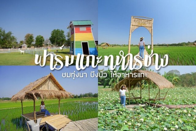 ชวนเที่ยวนครสวรรค์ "ชิค อิน ปากน้ำโพ"