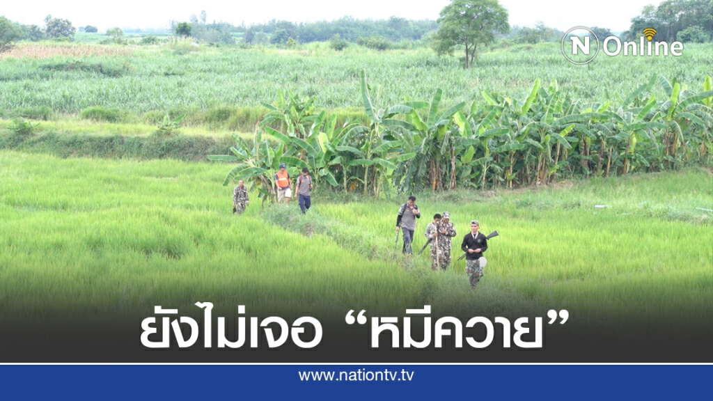 ปรับแผน! จนท. 7 ชุด เดินปูพรมจุดประทัด ผลักดันหมีควาย