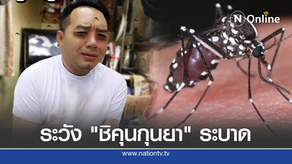 หมอแล็บ เตือน! คนไทยระวัง "ชิคุนกุนยา" ระบาด