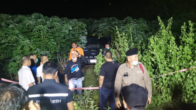 หนุ่มขับรถส่งของหึงโหดแทงแฟนดับผูกคอตายกลางป่ามันสำปะหลัง