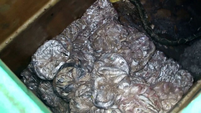 จับเรือเวียดนามลุกล้ำน่านน้ำ เร่งคัดกรองโควิดลูกเรือทันที