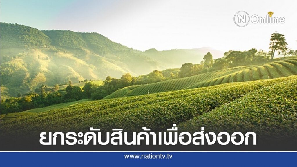 กรมเจรจาฯ แนะใช้โอกาส FTA ขยายส่งออกชาไทย