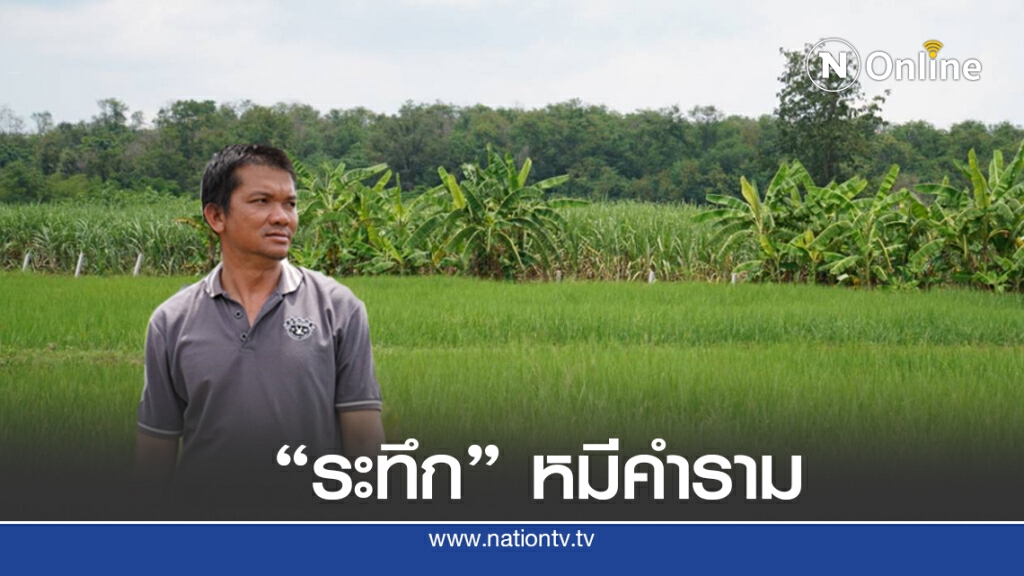 เจ้าของฟาร์มวัวระทึก! หมีควายส่งเสียงคำรามขณะตรวจนาข้าว เจ้าของฟาร์มวัวระทึก! หมีควายส่งเสียงคำรามขณะตรวจนาข้าว