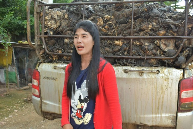 ลูกค้าหัวใส ซุกกางเกงเพิ่มน้ำหนักก้อนยางพารา