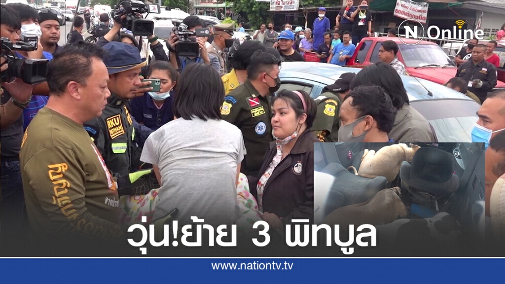 เจ้าของ 3 พิทบูลหลับคาเก๋ง วอชด็อกยิงยาซึมส่งมูลนิธิฯโกลาหล