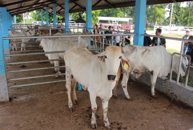 เปิดศูนย์เกษตรนวัตกรรม