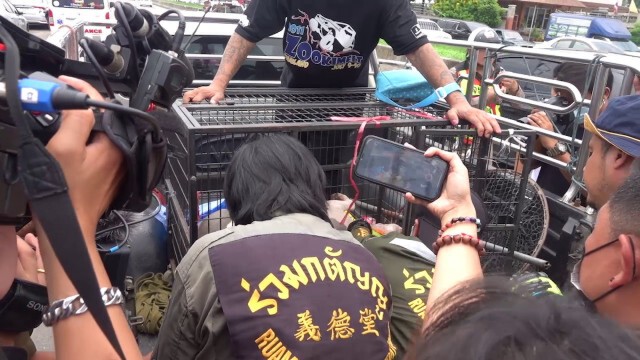 เจ้าของ 3 พิทบูลหลับคาเก๋ง วอชด็อกยิงยาซึมส่งมูลนิธิฯโกลาหล