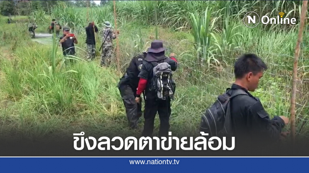 จนท.นำลวดตาข่ายล้อมไร่อ้อยไล่ต้อนหมีควาย จนท.นำลวดตาข่ายล้อมไร่อ้อยไล่ต้อนหมีควาย