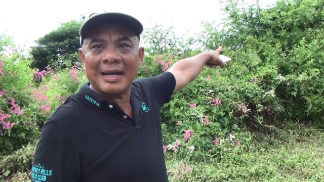 ฝูงผึ้งนับร้อยไล่ต่อยแต่รอดหวุดวิด เชื่อปาฏิหาริย์หลวงปู่เพชร