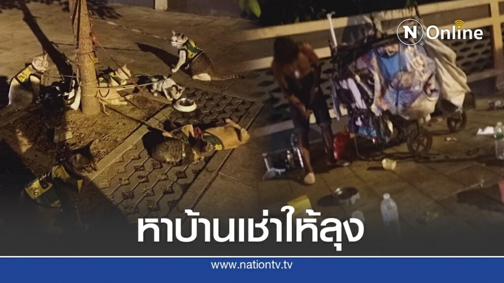 ชายขายของเก่า เก็บแมวจร 8 ตัวมาเลี้ยงนอนข้างถนนก็โดนวัยรุ่นจี้ ชายขายของเก่า เก็บแมวจร 8 ตัวมาเลี้ยงนอนข้างถนนก็โดนวัยรุ่นจี้