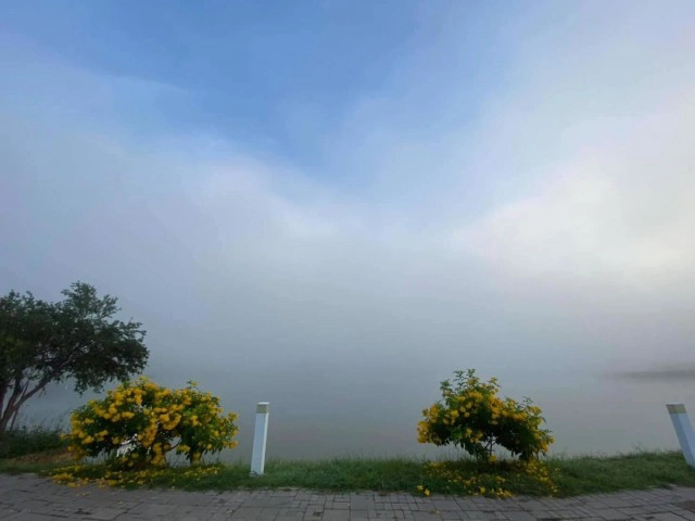 ประมวลภาพความสวยงามของ "อ.เมืองขอนแก่น" เกิดปรากฎการณ์ "ทะเลหมอก"