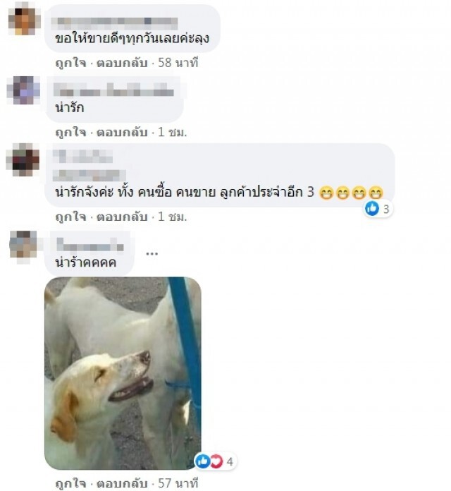 สาวงง ซื้อไอติมลุงไม่มีลูกค้าแต่สั่งให้รอก่อน ออเดอร์ 3 อันร้องอ๋อต้องขอเป็นเจ้ามือ