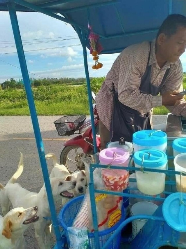 สาวงง ซื้อไอติมลุงไม่มีลูกค้าแต่สั่งให้รอก่อน ออเดอร์ 3 อันร้องอ๋อต้องขอเป็นเจ้ามือ