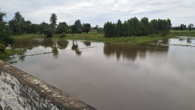 ฝนตกหลายวันส่งผลดีกับนาข้าวเกษตรกรกว่า5หมื่นไร่