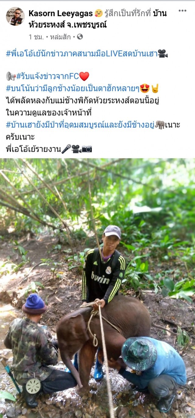 ลูกช้างเพศผู้ อายุ 1-2 เดือนพลัดหลงกับแม่ช้างที่น้ำหนาว