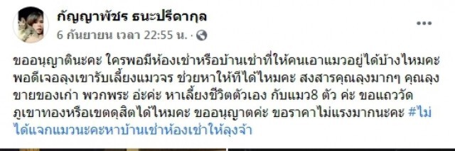 ชายขายของเก่า เก็บแมวจร 8 ตัวมาเลี้ยงนอนข้างถนนก็โดนวัยรุ่นจี้