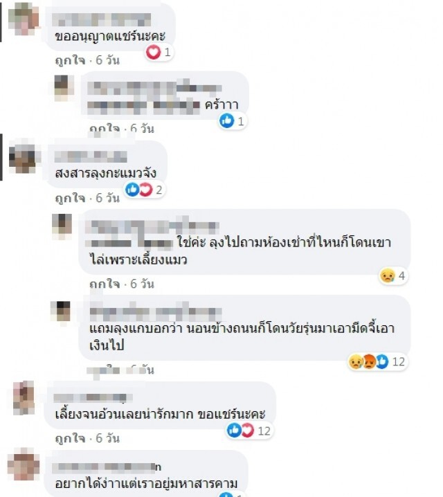 ชายขายของเก่า เก็บแมวจร 8 ตัวมาเลี้ยงนอนข้างถนนก็โดนวัยรุ่นจี้