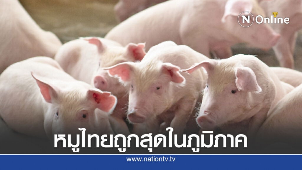 เกษตรกรเลี้ยงหมูโอดต้นทุนเพิ่มขอกลไกตลาดทำงานเสรี เกษตรกรเลี้ยงหมูโอดต้นทุนเพิ่มขอกลไกตลาดทำงานเสรี