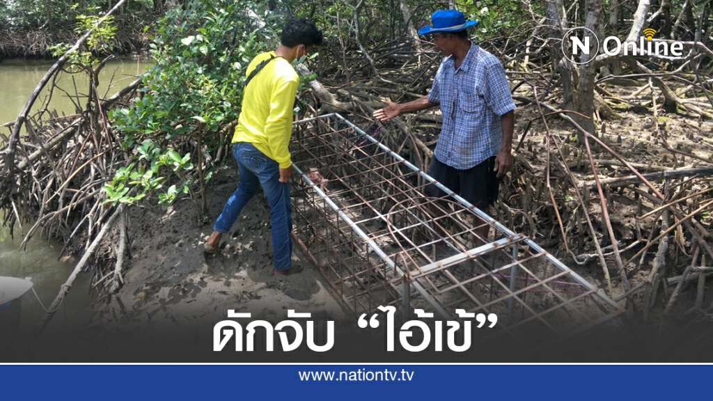 นำกรงดักจระเข้หลังชาวบ้านพบมานอนอาบแดด