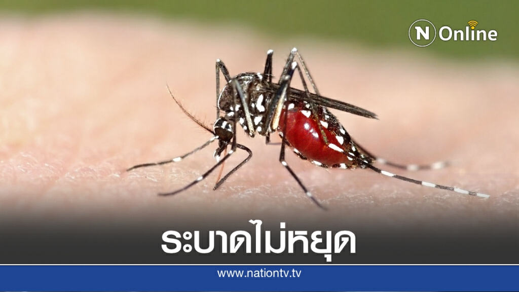 ห่วง "ไข้เลือดออก" ยังระบาดต่อเนื่อง ห่วง "ไข้เลือดออก" ยังระบาดต่อเนื่อง