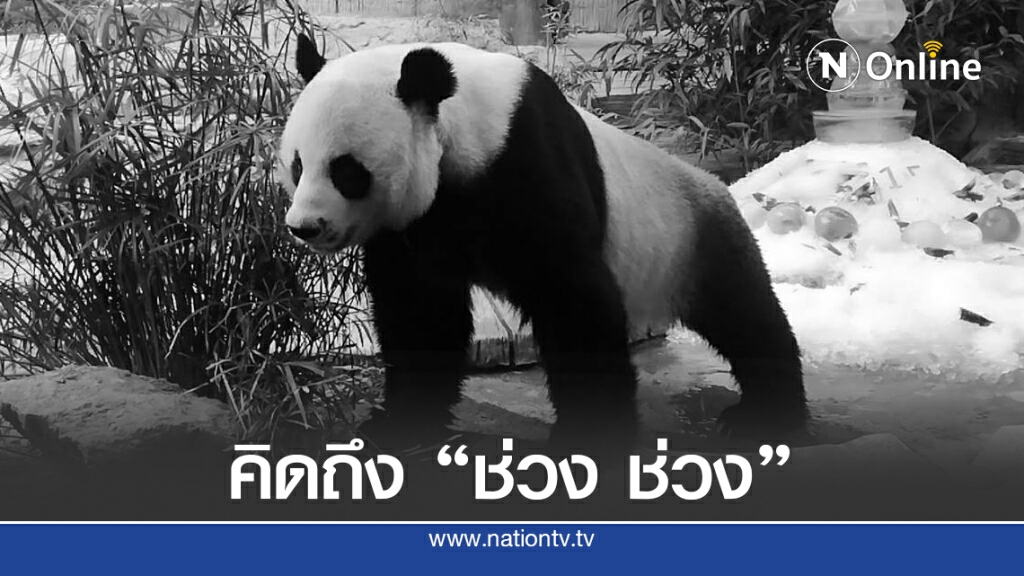 ครบ 1 ปีคิดถึง"ช่วง ช่วง" ครบ 1 ปีคิดถึง"ช่วง ช่วง"