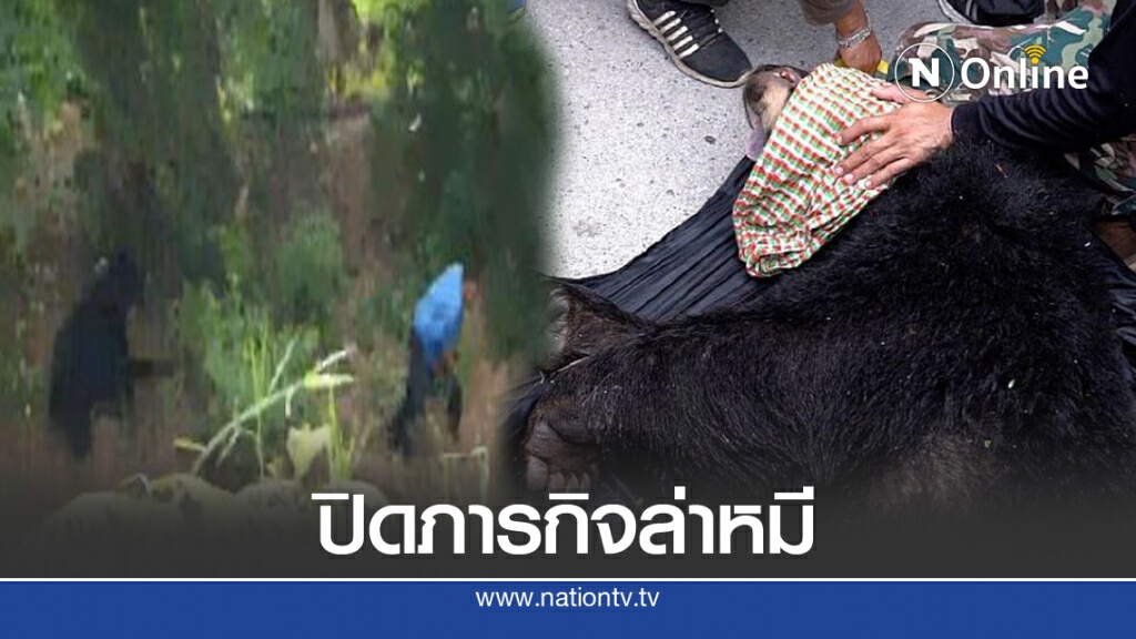 คลิปนาที จับหมีควาย