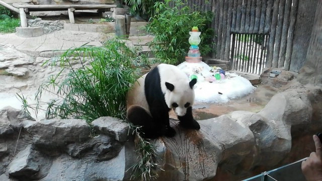 ครบ 1 ปีคิดถึง"ช่วง ช่วง"