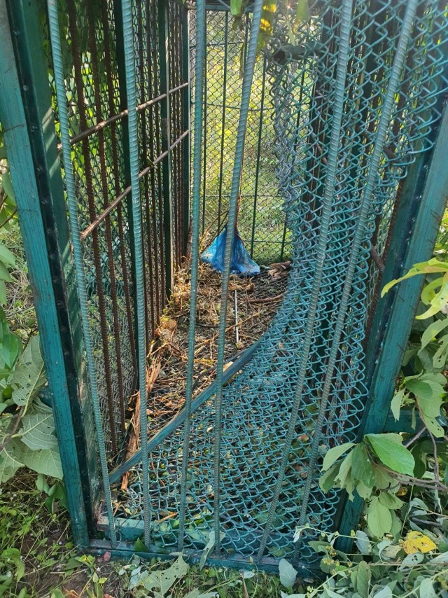 ดักไม่ได้ผล หมีควายแหกกรงกินอาหาร