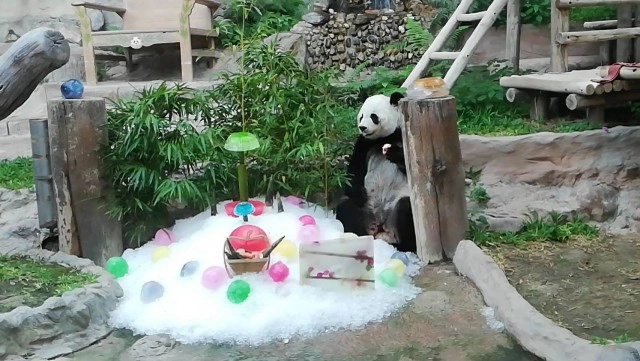 ครบ 1 ปีคิดถึง"ช่วง ช่วง"