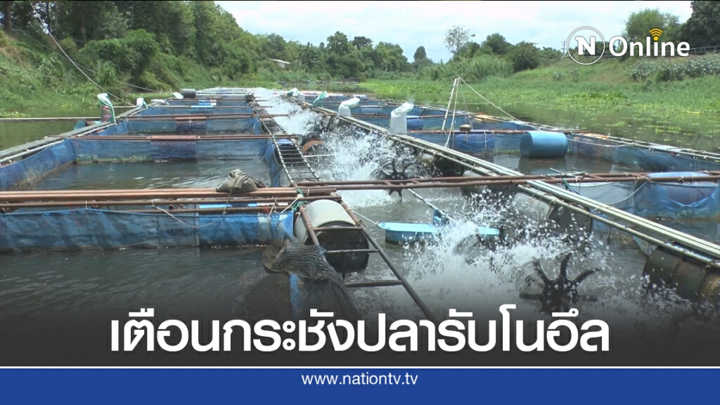 แจ้งเตือนกระชังปลารับพายุโนอึล แจ้งเตือนกระชังปลารับพายุโนอึล