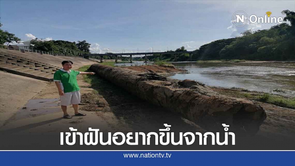ตะลึงต้นตะเคียนยักษ์100ปีโผล่กลางแม่น้ำวัง