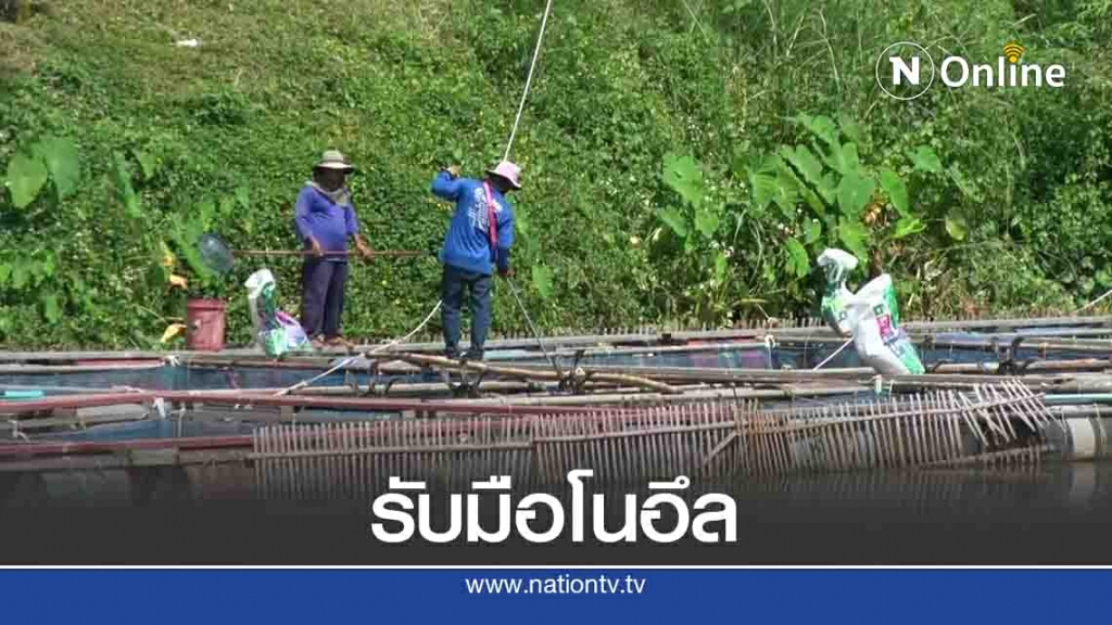 เตือนเกษตรกรเลี้ยงปลากระชัง รับมือพายุ "โนอึล"