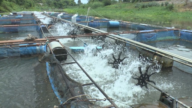 แจ้งเตือนกระชังปลารับพายุโนอึล