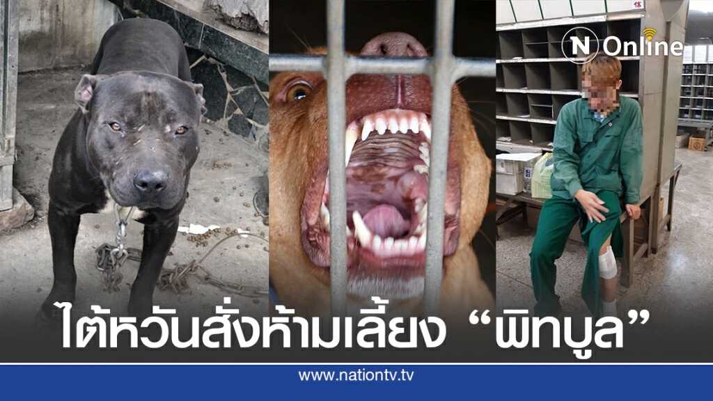 ไต้หวันเตรียมลงดาบห้ามเลี้ยงสุนัขพิทบูล
