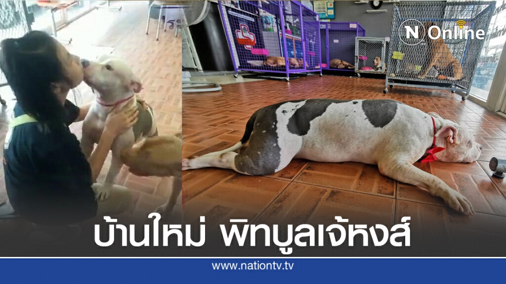 วอชด๊อก รับเจ๊หงษ์ออกจากรพ.เยี่ยมน้องหมาดูบ้านใหม่