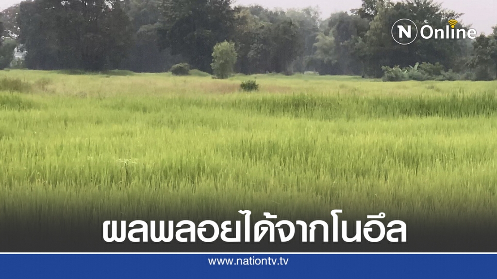 "โนอึล" มาชาวนาดีใจ ปภ.ตั้งศูนย์รับมือ