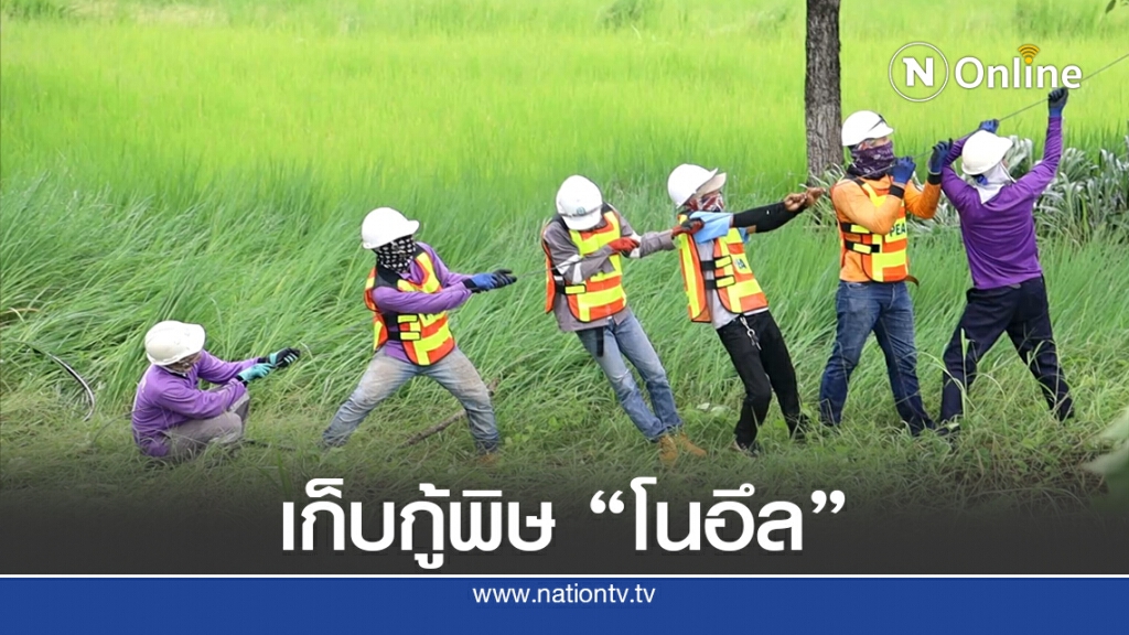 พิษ "โนอึล" น้ำโสมถูกพายุฝนลมกระโชกต้นไม้หักบ้านพัง