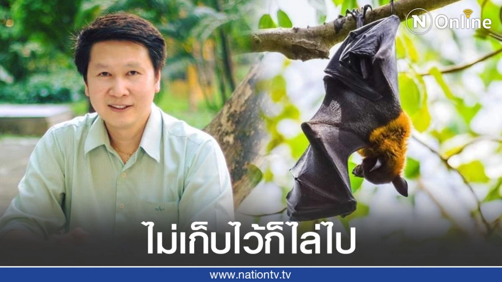 ค้างคาวบุกยึดอุทยานสวรรค์ "อ.เจษ" แนะถ้าไม่เก็บไว้เป็นแหล่งท่องเที่ยว ให้เจ้าหน้าที่ไปทำการไล่ทุกวัน