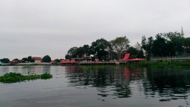 สะแกกรังวิกฤตรุนแรง ปลาวังมัจฉาวัดท่าซุงตายวันละ 100 ตัว