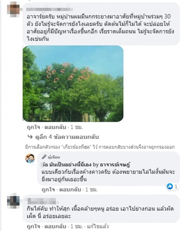 ค้างคาวบุกยึดอุทยานสวรรค์ "อ.เจษ" แนะถ้าไม่เก็บไว้เป็นแหล่งท่องเที่ยว ให้เจ้าหน้าที่ไปทำการไล่ทุกวัน