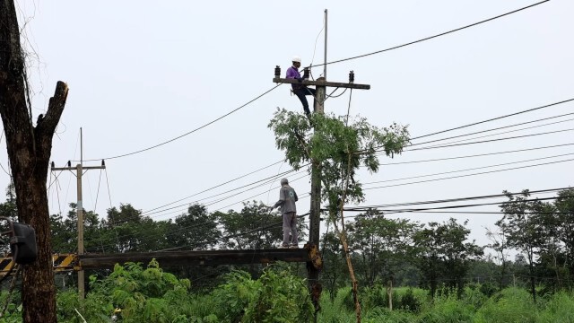 พิษ "โนอึล" น้ำโสมถูกพายุฝนลมกระโชกต้นไม้หักบ้านพัง