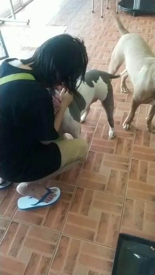 วอชด๊อก รับเจ๊หงษ์ออกจากรพ.เยี่ยมน้องหมาดูบ้านใหม่