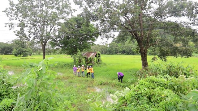 พิษ "โนอึล" น้ำโสมถูกพายุฝนลมกระโชกต้นไม้หักบ้านพัง