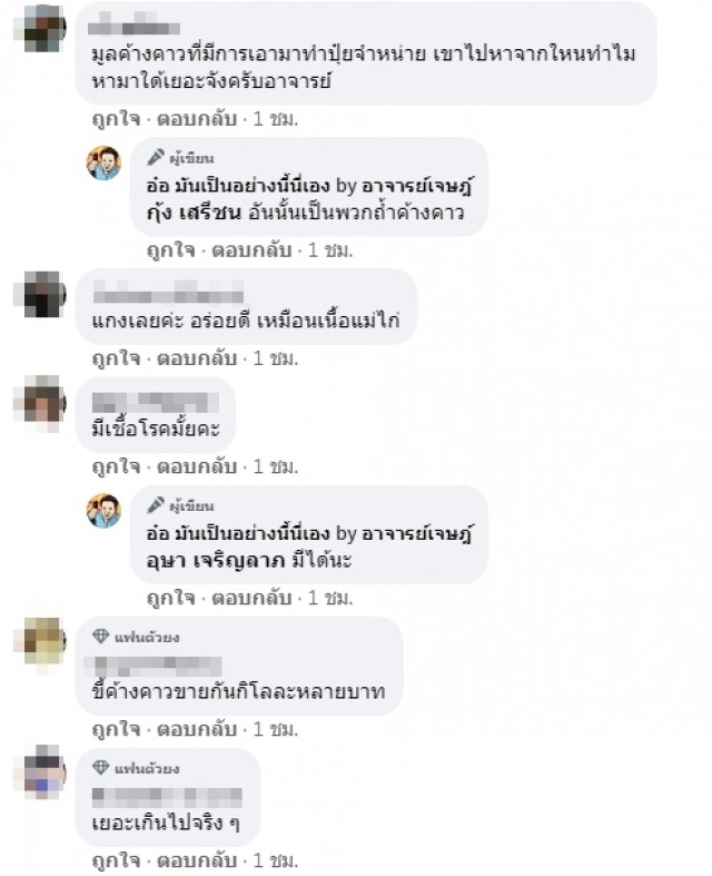 ค้างคาวบุกยึดอุทยานสวรรค์ "อ.เจษ" แนะถ้าไม่เก็บไว้เป็นแหล่งท่องเที่ยว ให้เจ้าหน้าที่ไปทำการไล่ทุกวัน