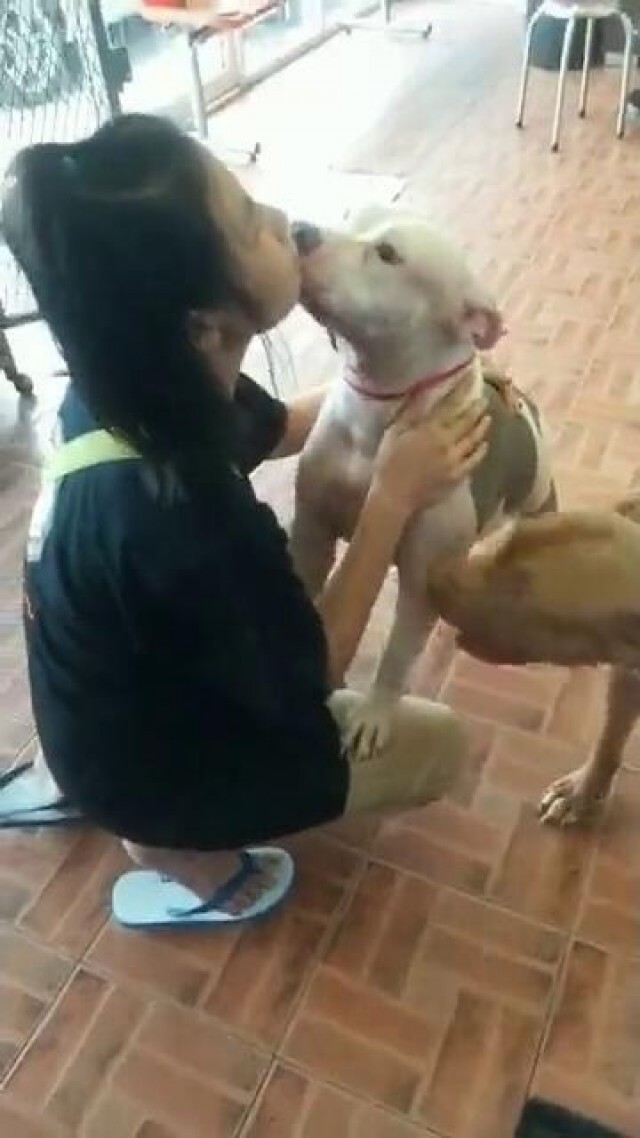 วอชด๊อก รับเจ๊หงษ์ออกจากรพ.เยี่ยมน้องหมาดูบ้านใหม่