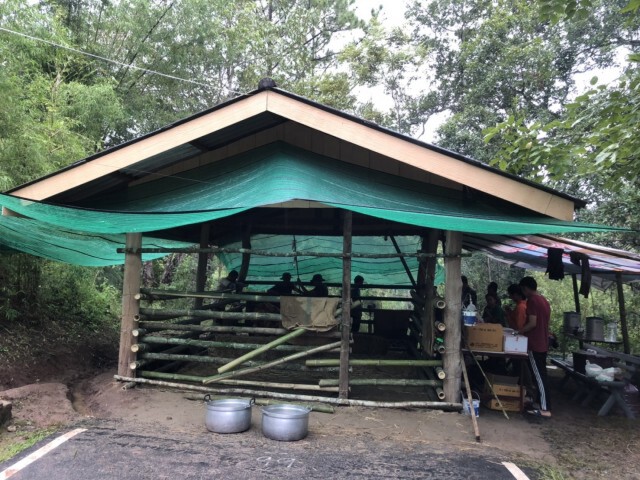 ลูกช้างป่าที่พลัดหลงแม่ เสียชีวิตแล้วที่อุทยานฯน้ำหนาว